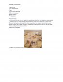 Introducimos los ajos en una sartén con aceite para dorarlos, los sacamos y reservamos.