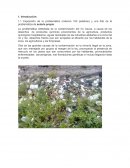 Com se da la Exposición de la problemática (máximo 100 palabras) y una foto de la problemática de autoría propia.