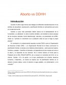 ENSAYO DERECHOS HUMANOS ABORTO