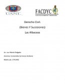 Bienes y sucesiones ( civil albaceas) ¿Qué son?