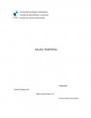 Informe salida temporal trabajadores Introducción