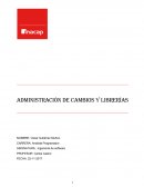 Administración de cambios y librerías