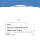 Cultura emprendedora en el desarrollo de proyectos.