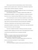 Guion de entrevista semiestructurada