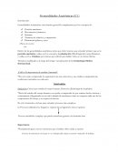 Generalidades Anatómicas (C1)