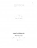 Administración en negocios internacionales