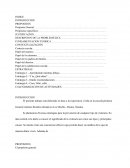 Fomento de valores en alumnos de educacion primaria