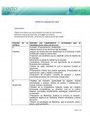 DESCRIBA SUS COMPONENTES Y ACTIVIDADES QUE SE DESARROLLAN EN CADA UNA DE ELLAS