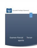 La disminución de la flora y fauna en el Parque Nacional Cotopaxi por la emanación de gases tóxicos producidos por la actividad volcánica.