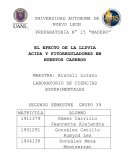 EXPERIMENTO DEL HUERTO CASERO (LLUVIA ACIDA Y LOS FITOREGULADORES)