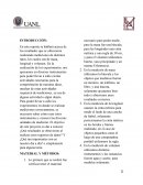 Actividad Integradora 1 LCE