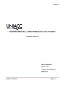 Trabajo Grupal Semana III