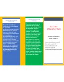 Biologia Integradora 4