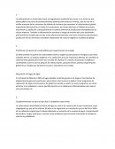 Desarrollo sostenible. La deforestación es la principal causa de degradación ambiental