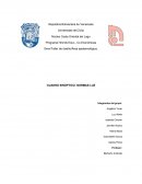 CUADRO SINOPTICO: NORMAS LUZ