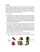 Seguridad. Extintores