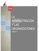 GERENTE GENERAL DE TESORERÍA