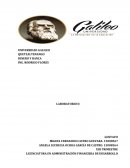 Laboratorio Dinero y banca