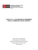 FACETA B Y C ESTÁNDARES DE DESEMPEÑO PARA LA FORMACION INICIAL DOCENTE