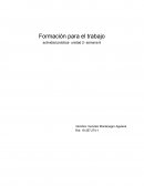 Formacion para el trabajo actividad