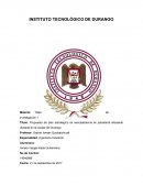 Propuesta de plan estratégico de mercadotecnia en panadería artesanal ubicada en la ciudad de Durango