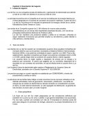 Capítulo II. Descripción del negocio Luz del Sur