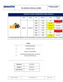 REPORTE ESTADO CARGADORES FAENA MICHILLA.