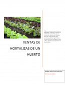 VENTAS DE HORTALIZAS DE UN HUERTO