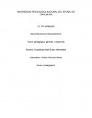 RECOPILACION PEDAGOGICA