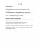 Belleza. Diagnóstico del cabello