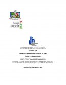 LAS ESTRATEGIAS DE LA INNOVACION EN MATERIA DE EDUCACION