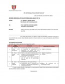 INFORME INDIVIDUAL N° 010-2017/DREA/UGEL HGA/I.E.”SJ”-D.