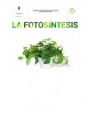 La Fotosíntesis, a nivel celular