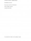 Licenciatura en enfermeria – Modalidad a distancia