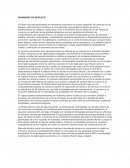 DINAMISMO DE MERCADO