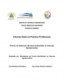 Informe Sobre la Práctica Profesional