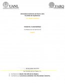 Ambiente y Sustentabilidad. Conferencias de Semana 8