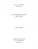 ENSAYO LAS CONFESIONES
