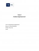 Clima Organizacional Análisis