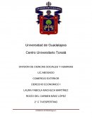 DIVISION DE CIENCIAS SOCIALES Y HUMANAS