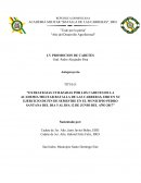 Anteproyecto "Año del Desarrollo Agroforestal"