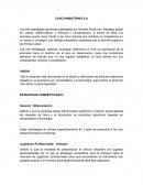 Estandares CASO ANIMATRINIX S.A