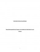 IU ejemplo Reproduktionspotential der Guppys in der Kanälen der Stadt Santa Cruz de la Sierra