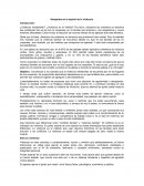 Atrapados en la espiral de la violencia.