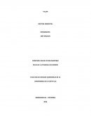 GESTION AMBIENTAL PELICULA: LA PESADILLA DE DARWIN