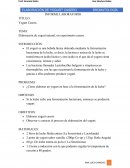 Yogurt Elaboración de yogurt natural, un experimento casero.