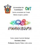 Tesis plata luz Sociedad y Salud