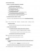 PRESENT CONTINUOS EXPLICADO HECHOS, SITUACIONES PERMANENTES Y OPINIONES