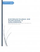 ESTRUCTURA DE SULEDOS Y SALARIO