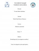 Investigación acción participativa. El dengue